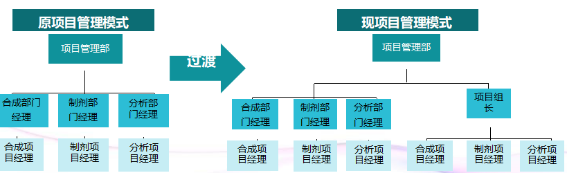 仿制药研发项目管理体系如何建立 仿制药研发项目管理体系如何建立