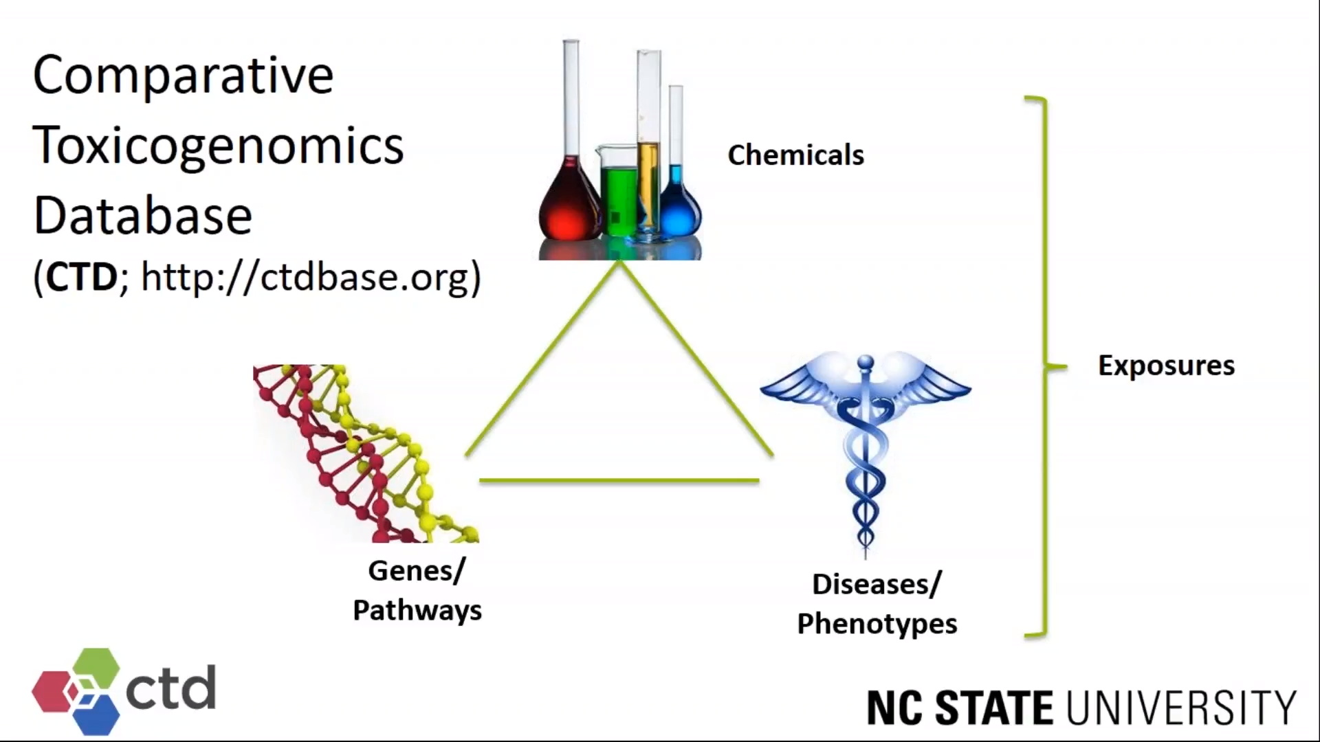 比较毒理学数据库 (CTD,Ctdbase)依据基因、药物进行查找研究详解