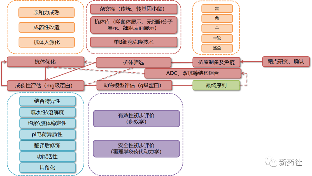 【药物研发】收集全网药物研发、申报、注册、临床全流程图总结