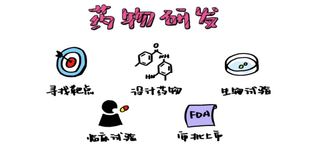 【药物研发】收集全网药物研发、申报、注册、临床全流程图总结