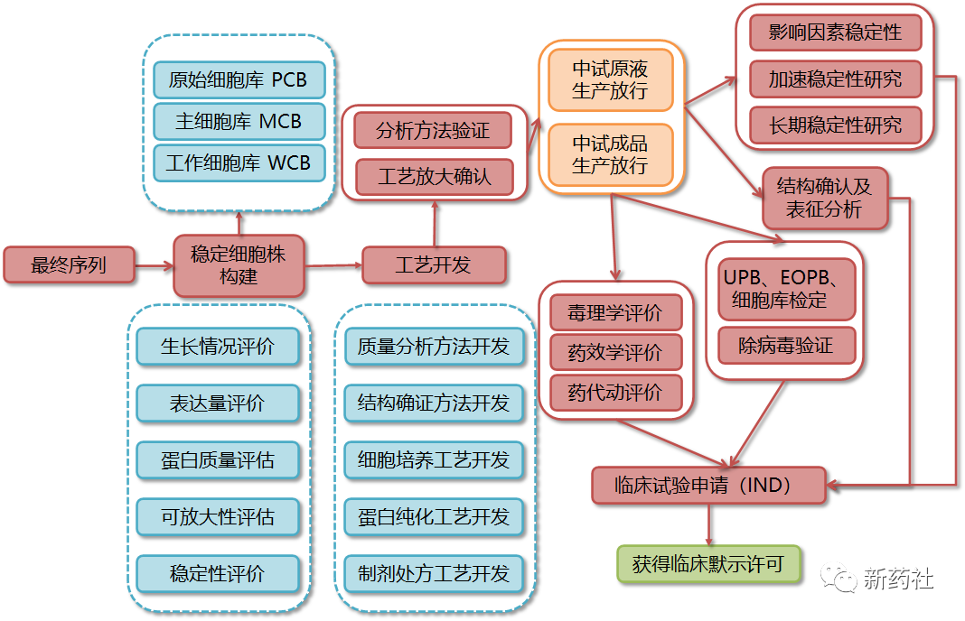【药物研发】收集全网药物研发、申报、注册、临床全流程图总结
