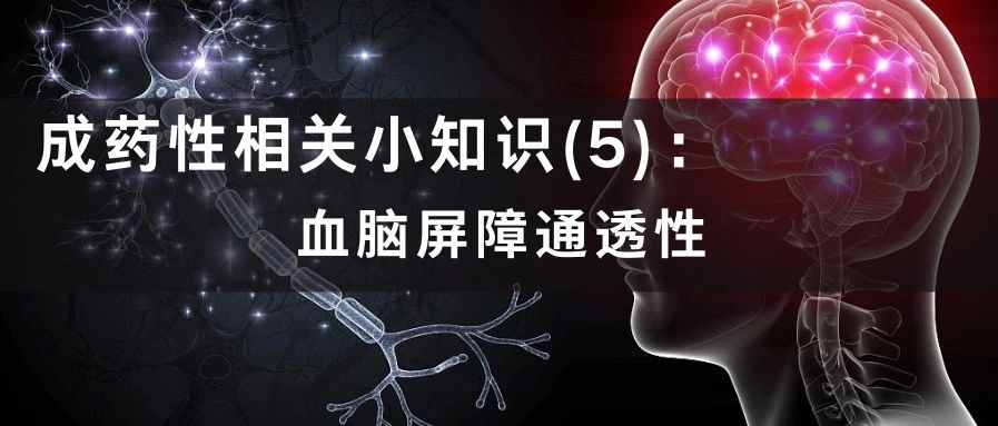 成药性相关小知识(5):血脑屏障通透性