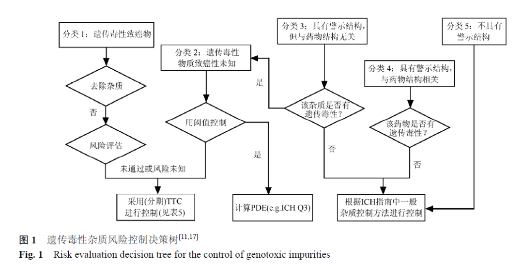 【干货】浅谈基因毒性杂质控制策略及步骤、各国基因毒性杂质指南对比
