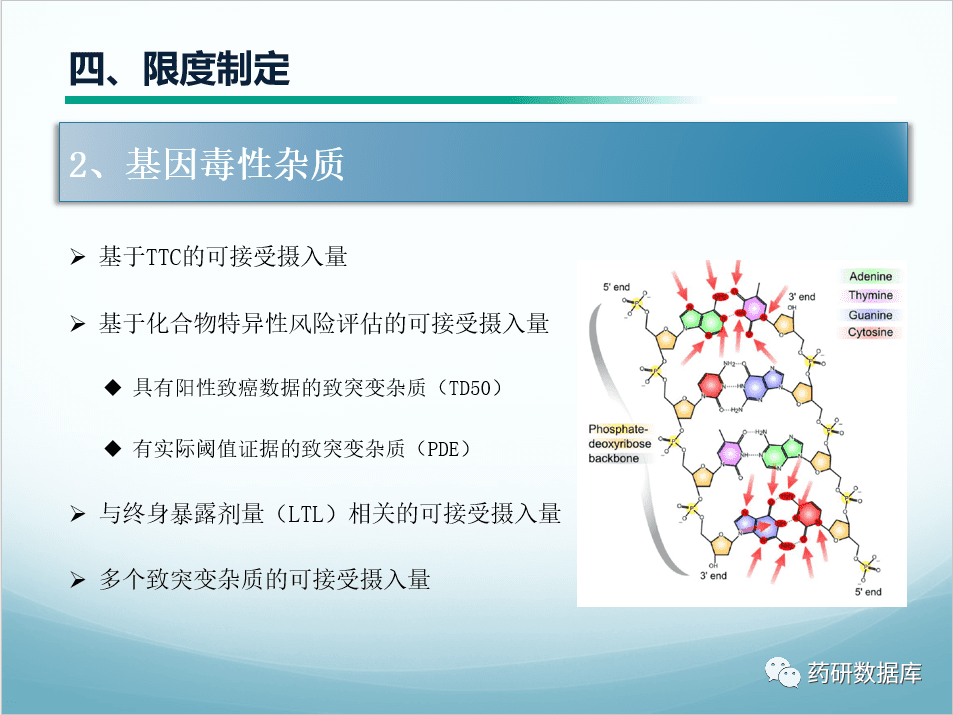 质量标准制定：原料药