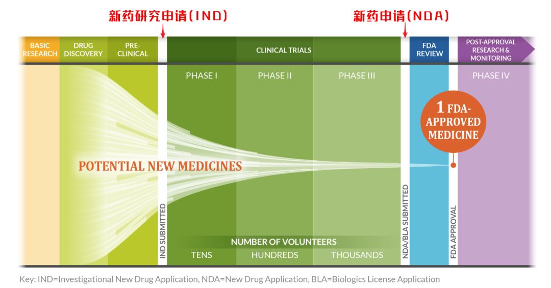 【药研文章】从FDA批准程序中读懂IND、NDA、BLA、ANDA以及OTC