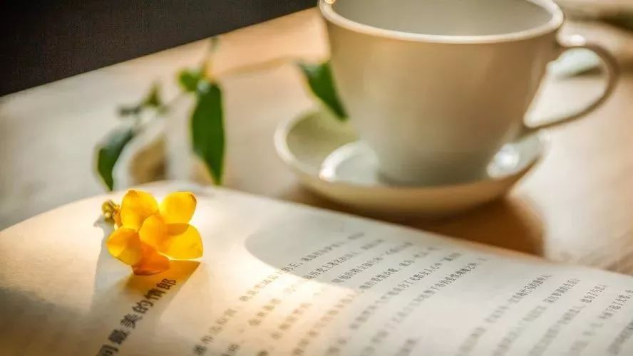 【译文】美国FDA橙皮书前言