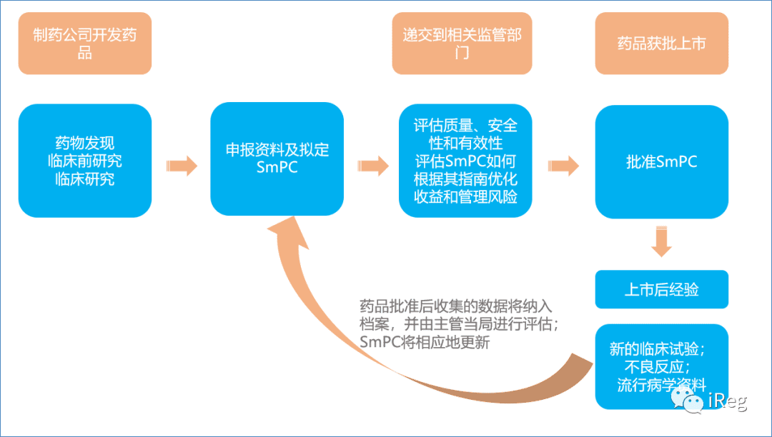 【iReg】世界各国药品说明书查询——欧洲篇（二）SmPC/PIL