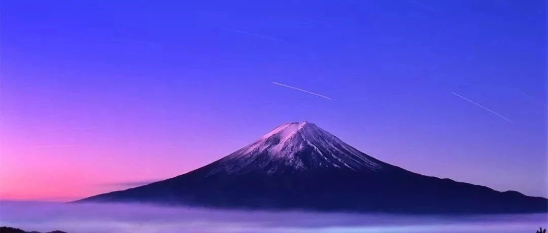 世界各国药品说明书查询——日本篇