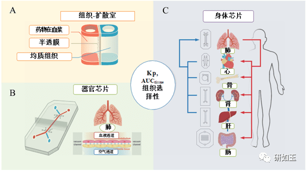 【终极揭秘】为什么90%临床药物研发失败？要如何提高临床试验的成功率？